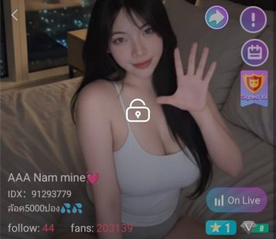 AAA Nam mine IDX 91293779 mlive