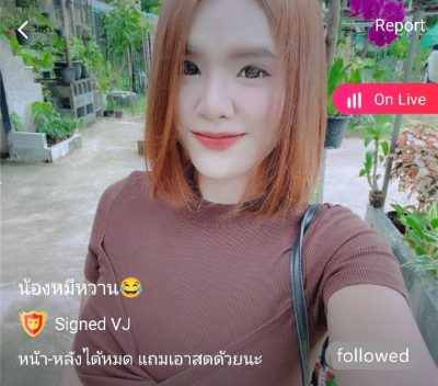 น้องหมีหวาน อ้อศรี ในป่าอ้อย mlive