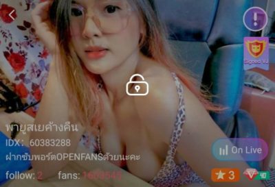 พายูสเยค้างคืน อ้อศรี IDX 60383288 mlive