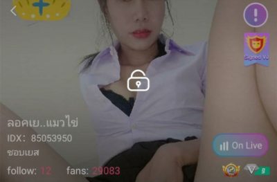 ลอคเย..แมวไข่ ชอบเยส mlive