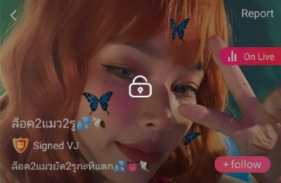 ล็อค2แมว2รู mlive