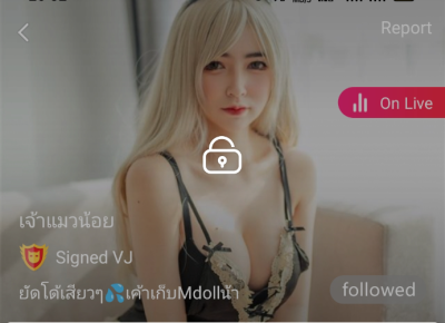 เจ้าแมวน้อย mlive
