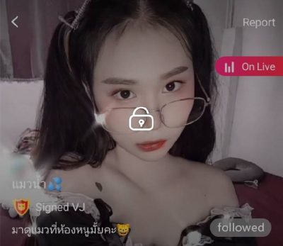แมวน้ำ จัดสด mlive