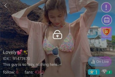 Lovely IDX 91477670 mlive