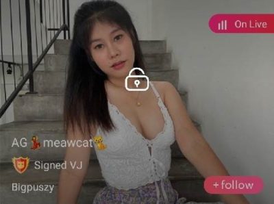 meawcat Bigpuszy IDX 85345165 mlive