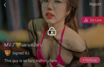 MVJ แมวเหมียว mlive