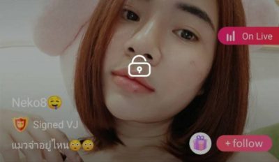 Neko8 แมวจ๋าอยู่ไหน mlive