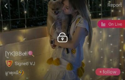 YK BBell มาดูหมี mlive